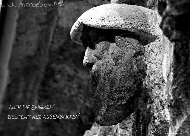Januar 2009 Bild Januar 2009