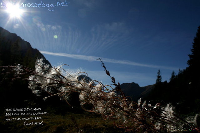 Bild April 2009