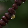 IMG_1829