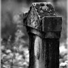 IMG_1556