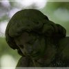 IMG_1569
