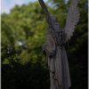IMG_1576
