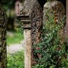 IMG_1582