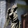 IMG_1603