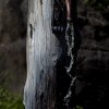 IMG_2460_1_s
