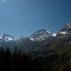 IMG_2468_s