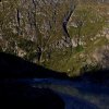 IMG_2546_s