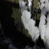 IMG_3917