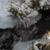 IMG_3923