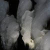 IMG_3963