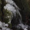 IMG_3967