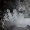 IMG_3973
