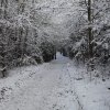 IMG_3988