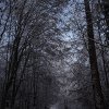 IMG_3991