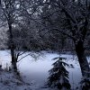 IMG_3993