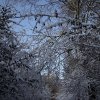 IMG_3997