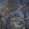 IMG_4001