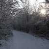 IMG_4003