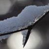 IMG_4025