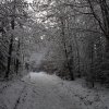 IMG_4037