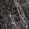 IMG_4041