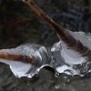 IMG_4044