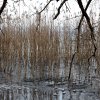 IMG_4052