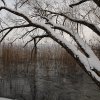 20100107 - a cold day outside