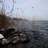 IMG_4059