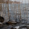 IMG_4060