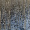 IMG_4076