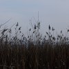 IMG_4085