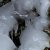 FotoBlog - 20100107 - a cold day outside