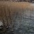FotoBlog - 20100107 - a cold day outside