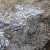 FotoBlog - 20100107 - a cold day outside