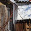 IMG_4179