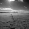 IMG_4183_sw