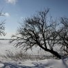 IMG_4204_small