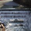 IMG_4411