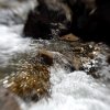 IMG_4780
