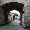 IMG_5101