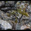 IMG_6818