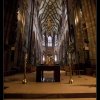 IMG_6883