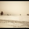 IMG_7035