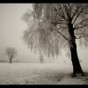 20110130 - Ein wunderschöner Wintertag