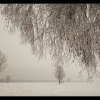 IMG_7051