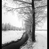 IMG_7065
