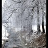 IMG_7070