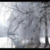 IMG_7071