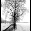 IMG_7075